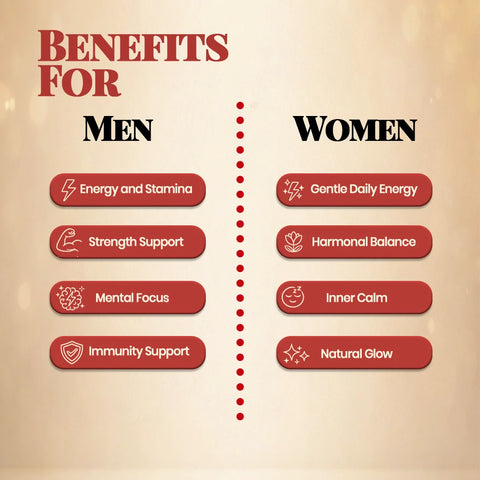Honey Shilajit Sticks for Men & Women